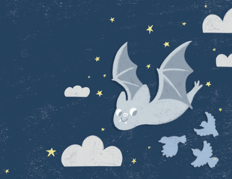 Stellaluna - Photo Credit: CMTM